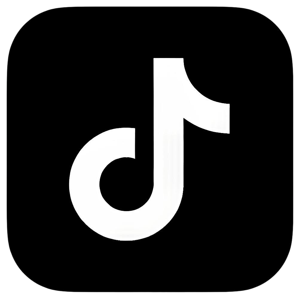 TikTok Logo